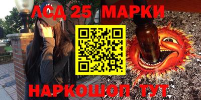 индика Кулебаки