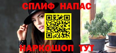 индика Кулебаки