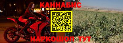 индика Кулебаки