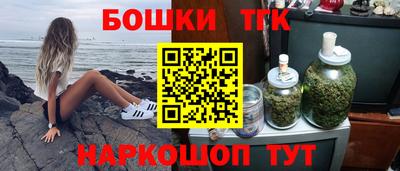 индика Кулебаки