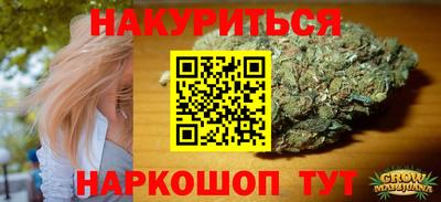 индика Кулебаки