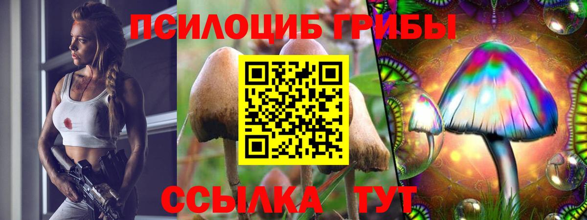 Унеча  Галлюциногенные грибы GOLDEN TEACHER  Псилоцибиновые грибы прущие грибы  Вход с VPN 